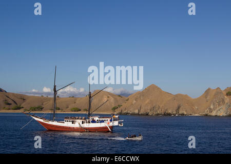 Bateau de croisières de plongée offshore Gila Lawa Laut Island dans l'archipel de Komodo. Banque D'Images