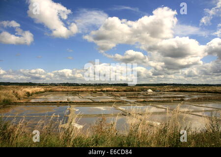 Les marais salants près de La Baule, Bretagne, France Banque D'Images