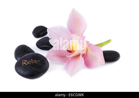 Spa Concept, Orchid avec zen stone isolated on white Banque D'Images