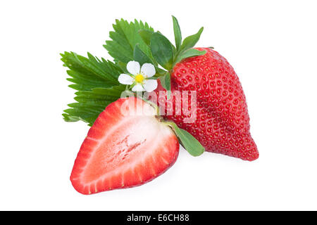 Strawberry in Close up Banque D'Images