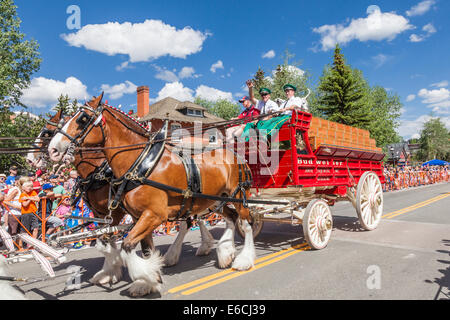 Les chevaux Clydesdale at Breckenridge Quatrième de juillet Parade. Banque D'Images