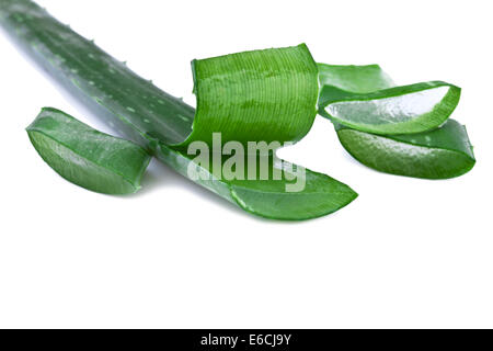 Feuille d'aloe vera et des tranches isolé sur fond blanc Banque D'Images