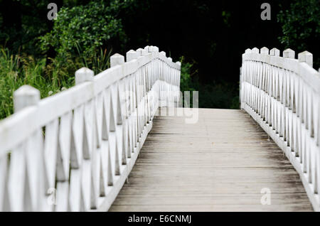 Pont pied blanc en bois à motifs, photo horizontale Banque D'Images