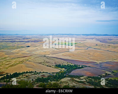 Couches de collines ondulantes et de motifs de champ de blé dans Palouse Scenic Byway, Washington, États-Unis d'Amérique Banque D'Images