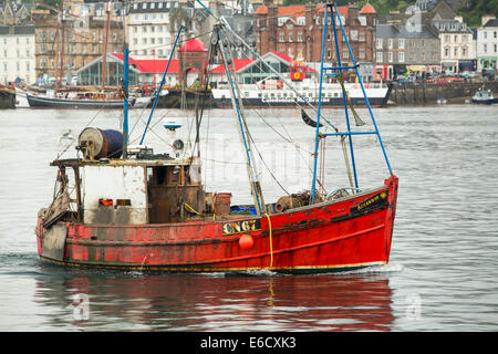Un bateau de pêche de rentrer au port à Oban, Scotland, UK. Banque D'Images