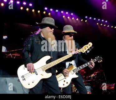 Englewood, Colorado, USA. 20e Août, 2014. DUSTY HILL, à gauche, et Billy Gibbons, droit de ZZ Top effectuer lors d'un concert à Fiddlers Green Amphitheatre mercredi soir. Credit : Hector Acevedo/ZUMA/Alamy Fil Live News Banque D'Images