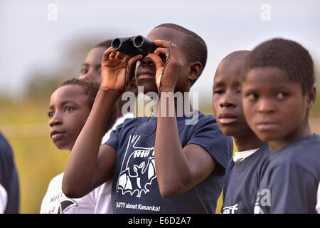 Les enfants avec flying fox T-shirts observant des chauves souris Palm (Eidolon helvum) Parc national de Kasanka, Zambie Banque D'Images