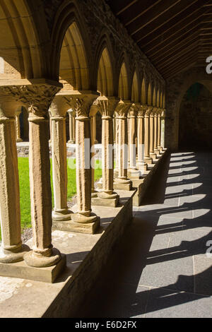 Piliers de grès à l'abbaye d'Iona Iona, off Mull, Ecosse, Royaume-Uni. Banque D'Images