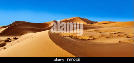 Sand dunes paraboliques, erg Chebbi, sahara, Maroc Banque D'Images