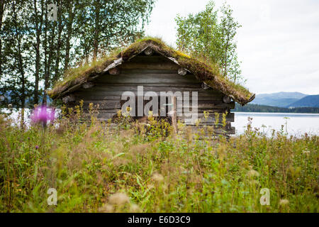 Vraiment vieux hangar en bois en Laponie, Suède. De plus en plus d'herbe sur le toit. Le hangar est en train de s'effondrer et remontant lentement à natu Banque D'Images