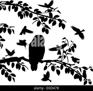 Silhouettes vecteur modifiable d'oiseaux chanteurs mobbing un hibou avec tous les oiseaux en tant qu'objets séparés Illustration de Vecteur