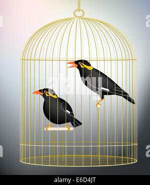 Illustration vectorielle modifiable d'une paire d'oiseaux en cage hill myna faite avec filets de dégradé Illustration de Vecteur