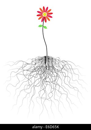Vector illustration fleurs modifiable avec racines emmêlées Illustration de Vecteur