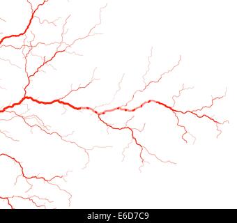 Illustration vectorielle modifiable des vaisseaux sanguins rouges Illustration de Vecteur