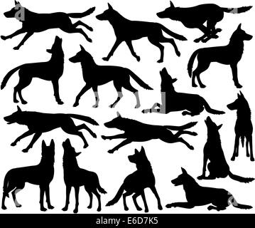 Jeu de silhouettes vecteur modifiable de loups dans différentes poses Illustration de Vecteur