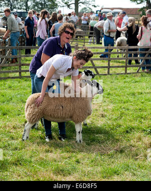 Les ovins étant jugé à Ryedale show Banque D'Images