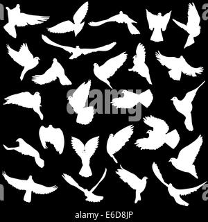 Concept d'amour ou de la paix. Jeu de silhouettes de colombes. illustration. Banque D'Images