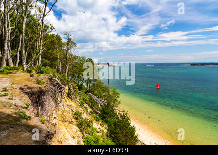 L'île de Brownsea, dans le port de Poole Dorset England UK Banque D'Images