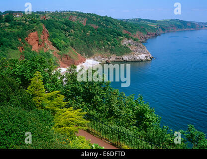 Babbacombe Bay près de Torquay Devon UK Banque D'Images