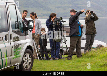 Une tournée de la faune La faune de l'entreprise montrant aux touristes sur l'île de Mull, Ecosse, Royaume-Uni. Banque D'Images