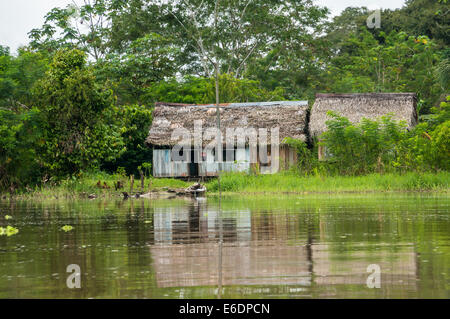 L'Amazone péruvien des cabanes indigènes Banque D'Images