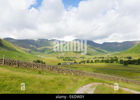 La vallée de Langdale Lake District Cumbria près d'Old England UK Dungeon Ghyll en été, ciel bleu et nuages scenic Banque D'Images