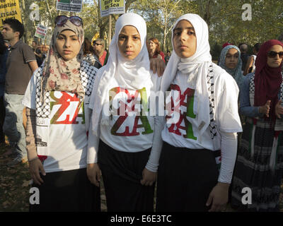 Rassemblement pour la Palestine à Cadman Plaza Park à Brooklyn à New York, août20, 2014. Banque D'Images