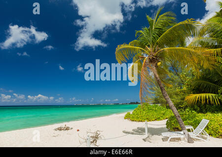 7 mile beach, Grand Cayman Banque D'Images