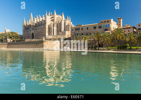 La Seu la cathédrale de Palma de Mallorca, Espagne Banque D'Images