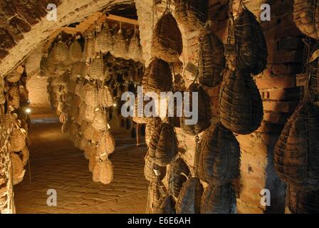 Polesine Parmense (Émilie-Romagne, Italie) cave de vieillissement de "culatello" jambon typique Banque D'Images