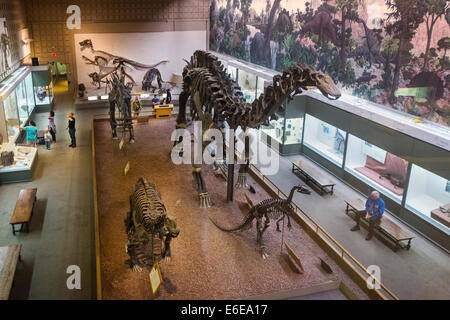 Peabody Museum of Natural History Yale University Banque D'Images