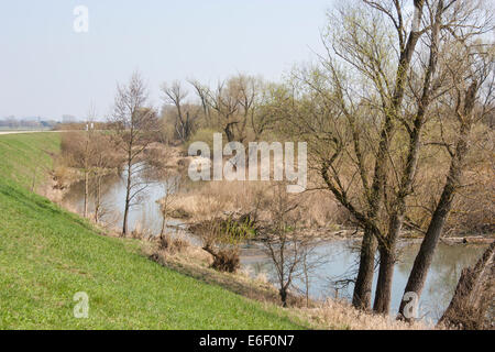 Allemagne Danube river nature Backwater Bavarois Banque D'Images