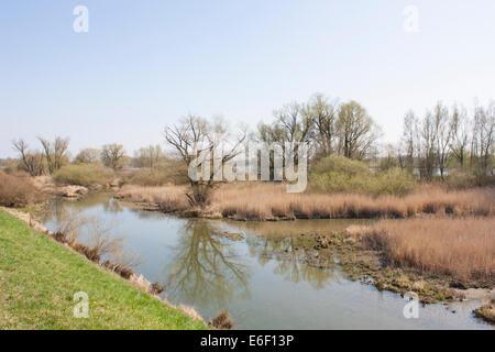 Allemagne Danube river nature Backwater Bavarois Banque D'Images