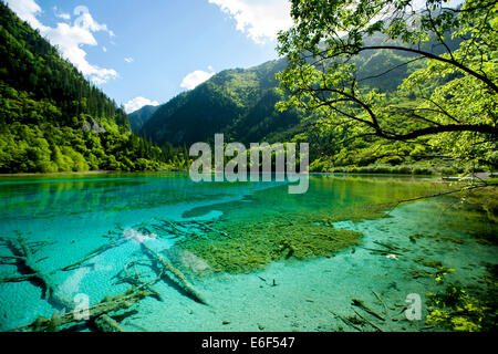 Lake à Jiuzhaigou, Chine. Banque D'Images