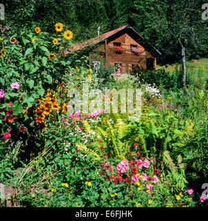 Jardin fleuri et maisons chalet d'été Samoëns Savoie Alpes France Banque D'Images