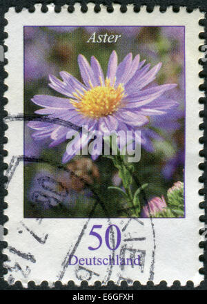 Allemagne - circa 2005 : timbre-poste imprimé en Allemagne, présente une floraison Asters, vers 2005 Banque D'Images