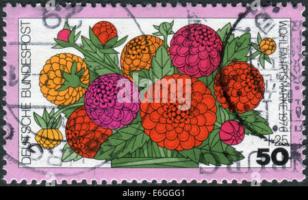 Allemagne - circa 1976 : timbre-poste imprimé en Allemagne, présente une floraison de Zinnia elegans, vers 1976 Banque D'Images