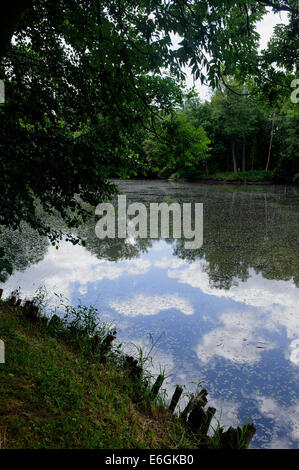 Jardin paysage accès près de Lowicz, Pologne, Europe Banque D'Images