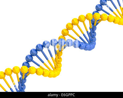 Molécule d'ADN bleu jaune sur fond blanc Banque D'Images