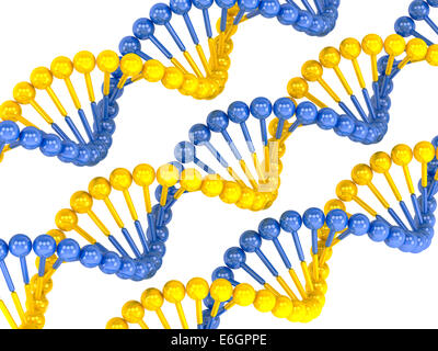 Molécule d'ADN bleu jaune sur fond blanc Banque D'Images
