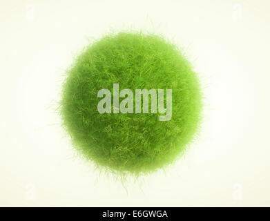 L'herbe verte et les plantes sphères Banque D'Images