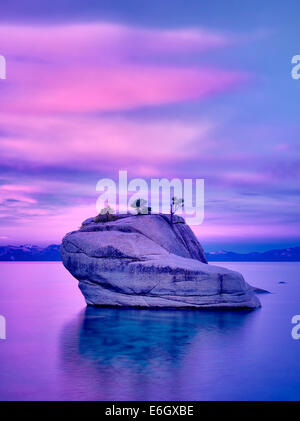 Bonsai arbre sur un rocher avec le lever du soleil. Lake Tahoe, Nevada Banque D'Images