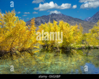 Petit étang de castors sur McGee Creek avec la couleur de l'automne. L'Est de la Sierra Nevada, en Californie