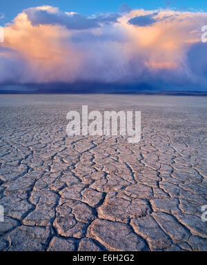 Alvord Desert et nuages Harney Comté (Oregon). Banque D'Images