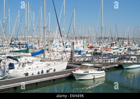 Forêt de mâts dans le port de plaisance de La Rochelle, Charente-Maritime, France, Europe Banque D'Images