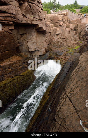 Thunder Hole, l'Acadia National Park, Maine USA. Banque D'Images