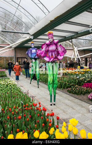 Fleur annuelle affichage à jardins de Keukenhof, Pays-Bas Banque D'Images