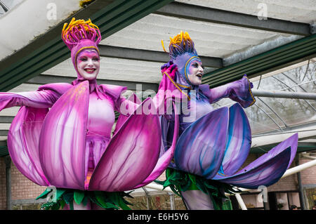 Fleur annuelle affichage à jardins de Keukenhof, Pays-Bas Banque D'Images