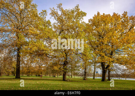 Journée d'automne ensoleillée dans Hyde Park, Londres, UK Banque D'Images