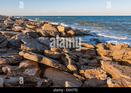 Coquina rock formations le long des côtes de l'océan Atlantique à Washington Oaks Gardens State Park à Palm Coast, en Floride, USA Banque D'Images